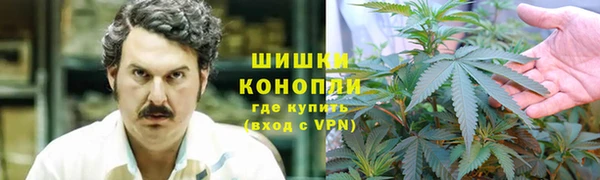 сатива Михайловка