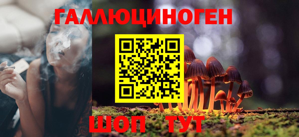 Галлюциногенные грибы мухоморы Новоалтайск