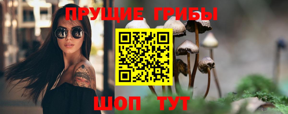 хочу наркоту  Галлюциногенные грибы прущие грибы  Вход с VPN  Новоалтайск  Галлюциногенные грибы GOLDEN TEACHER 