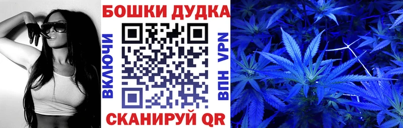 где купить наркотик mega ONION Каннабис тримм Новоалтайск
