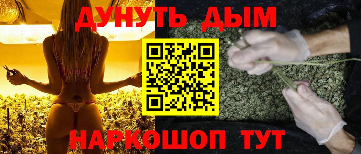 МАРИХУАНА семена  Марихуана THC 21%  Конопля сатива  Вход с VPN  Новоалтайск 